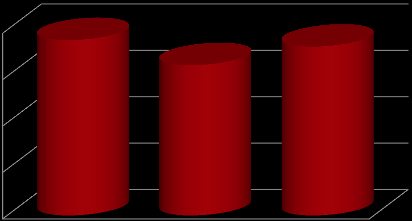 4. SYTUACJA FINANSOWA 4.1.