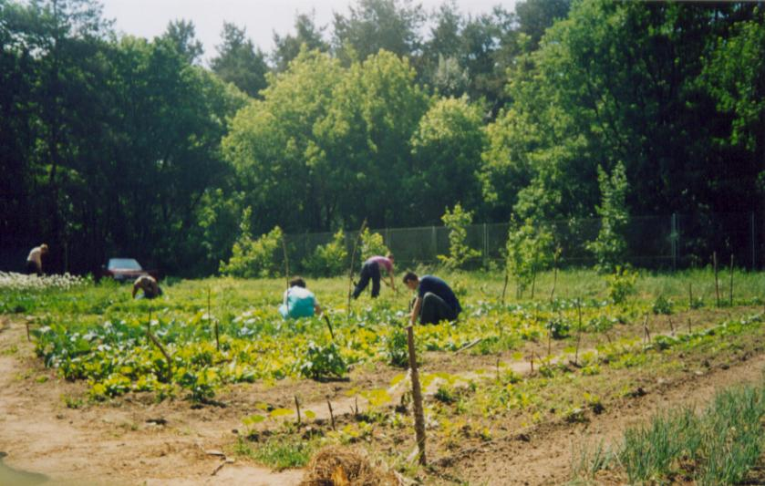 pielęgnacją kwiatów,