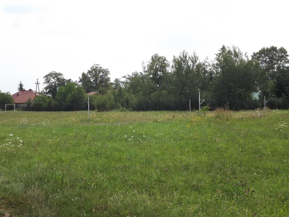 Fotografia 13 Zdegradowane i nieużytkowane boisko w Bobrzy Źródło: InicjatywaLokalna.