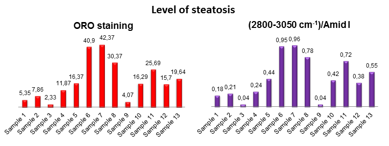 Ryc.5. Po lewej: Wyniki oznaczenia stopnia zaawansowania stłuszczenia w postaci procenta tkanki zajmowanej przez krople (cysty) lipidowe, uzyskane na podstawie barwienia ORO (metoda referencyjna).