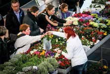 14.00-17.00 paw. 3, sala A Kiermasz ogrodniczy Podczas Targów GARDENIA nie zabraknie również możliwości zakupu roślin i narzędzi.