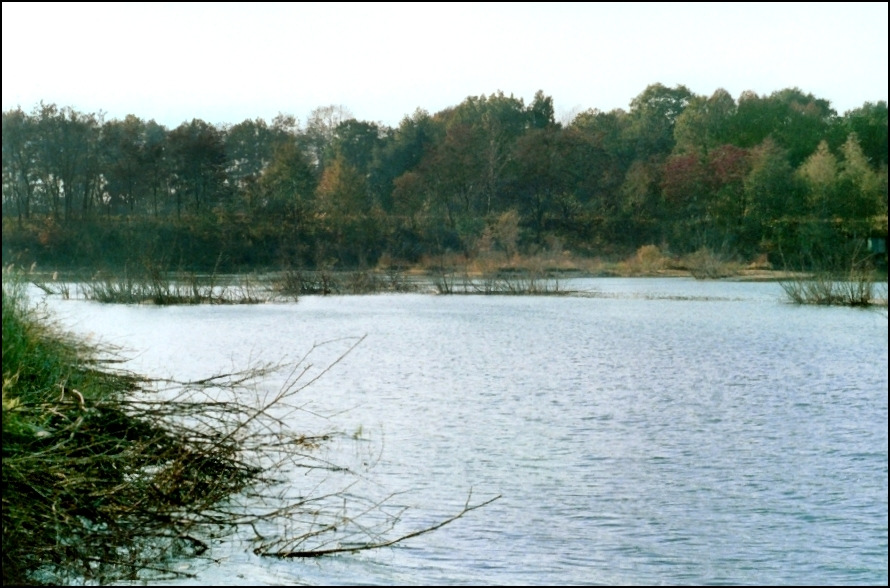 Fot. 5. Stanowisko nr 7 Łowisko PZW Podolsze. Jesień 2003. Fot. 6.