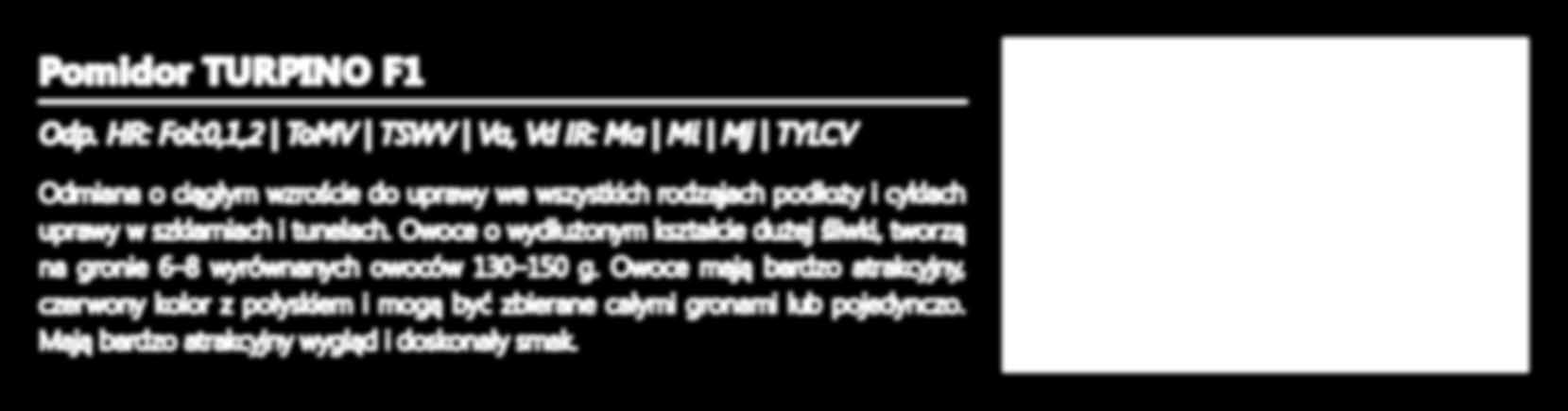 Grona bardzo gęsto osadzone. Owoce kształtne, kuliste, bardzo twarde i odporne na pękanie.