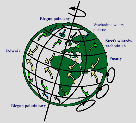 Kieunki wiatów stałych na obu półkulach W szczególności masy powietza znad ównika po oddaniu wilgoci pzemieszczają się w