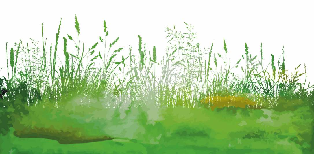Łata do naprawy trawnika nowoczesna technologia uzupełniania ubytków Mata geokompozytowa składająca się z biodegradowalnej biowłókniny,