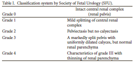 Jak nowa klasyfikacja ma się do SFU UTD (Consensus 2014) Society of Fetal Urology GRUPA NISKIEGO RYZYKA APD <15 mm GRUPA