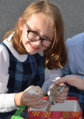 St. Thecla School Our annual Pet Blessing Mr.