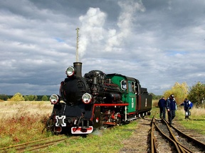 50 31'22"N 20 31'45"E na mapie:g Zdjęcia dodane przez (w kolejności): fot. arch. UM w Pińczowie, sonia27, fot. arch. UM w Pińczowie, fot. arch. UM w Pińczowie, fot. arch. UM w Pińczowie, fot. arch. UM w Pińczowie, fot. arch. UM w Pińczowie, fot. arch. UM w Pińczowie Trasa dodana przez: sonia27 Przewodnik wygenerowany w serwisie www.