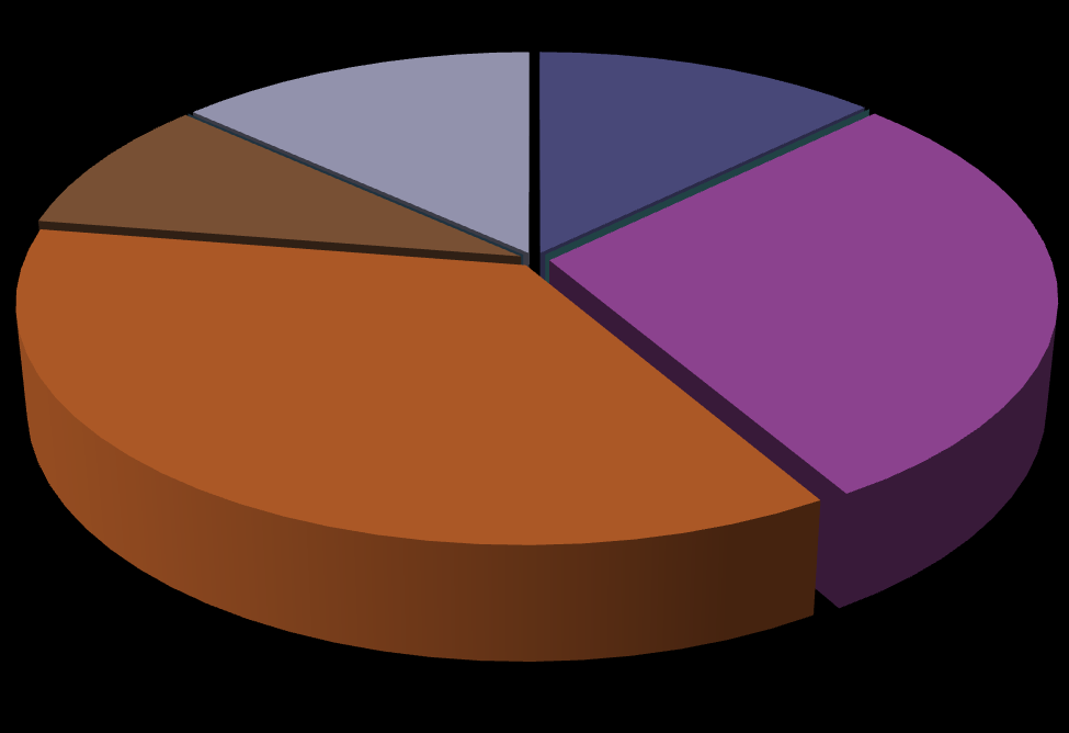 Kolonie i wypoczynek 0,00% 9,19% 13,32% 12,80% 0,00% 24.