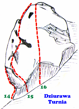 Ładne Kwiatki, V+, TR - Mirosław