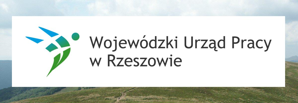 W przypadku gdy logotyp znajduje się na innym tle, np.