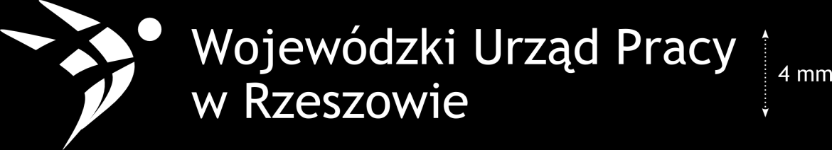 Rozmiar znaku Układ poziomy Minimalny rozmiar znaku określony jest wysokością napisu, która nie może