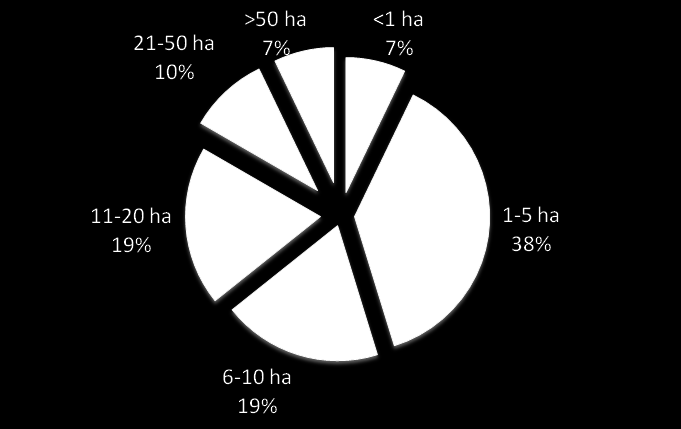 Wybrane wyniki badań Rycina 1.