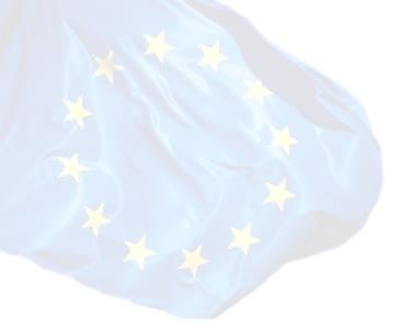 Rynek Wewnętrzny Unii Europejskiej dr