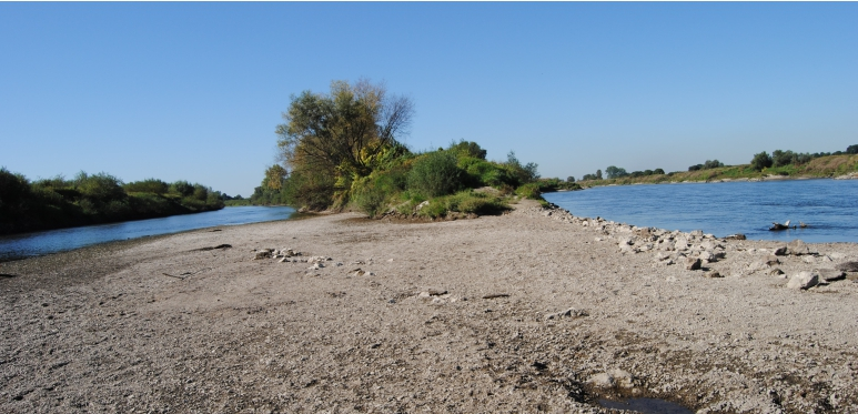 Jak podaje Wrzesiński (2010), w przypadku polskich rzek współczynnik stabilności pojawiania się fazy wezbrań i niżówek wykazuje dość charakterystyczne przestrzenne zróżnicowanie.