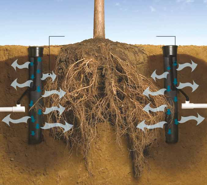Umożliwia przedostawanie się wody, powietrza i składników odżywczych, przez stwardniałą glebę, bezpośrednio do strefy korzeniowej