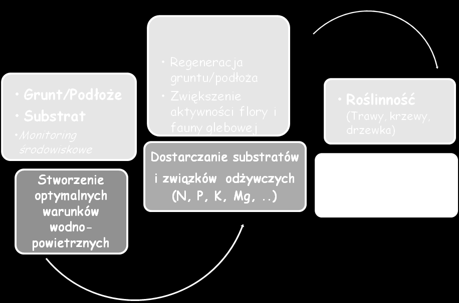 Pro-ekologiczna Fito-rekultywacja terenów zdegradowanych wg własnej koncepcji tzw.