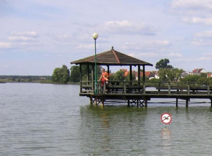 Wskaźnik Warstwa wody Lata badań Jezioro Domowe Duże Jezioro Domowe Małe 1969 1995 2004 1969 1995 2004 Odczyn [ph]