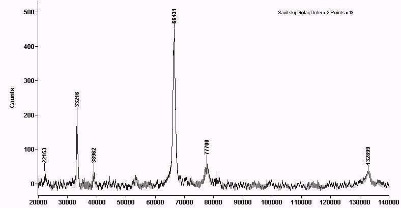 [M+H] + [M+2H] 2+ 2[M+H] + Rysunek 5-5: Widmo albuminy wołowej (ok. 2 pmole) wykonane techniką MALDI TOF.