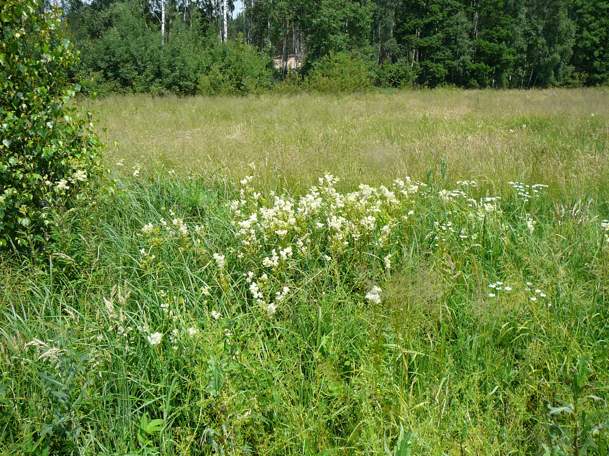 Fotografia 17.