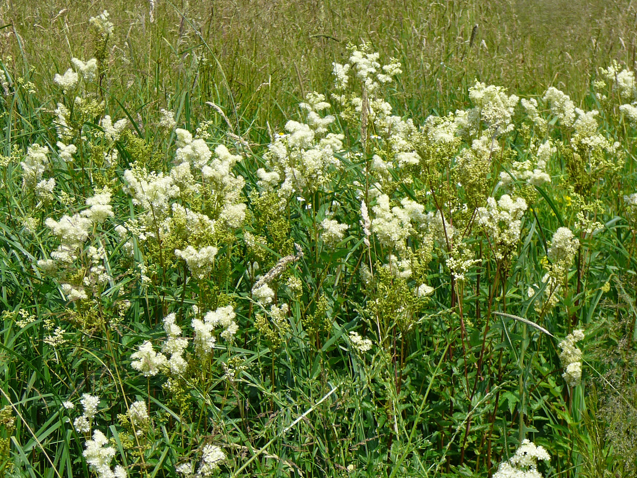 Fotografia 18.