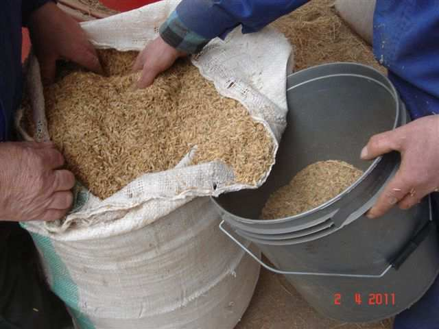 Dobre doświadczenia z dodawaniem łuski ryżowej pozwala nam przypuszczać, że może ona być dodawana także do innych materiałów trawiastych oraz do słomy z takim samym dobrym