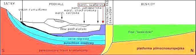 Rysunek 3. Przekrój morfologiczny rejonu Podhala widoczna tzw. Warstwa Szafarska 2.3. Rzeźba terenu i budowa geologiczna Rzeźba terenu gminy Szaflary jest dość zróżnicowana.