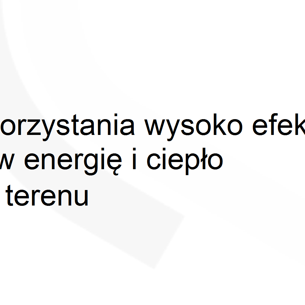 Projekt zagospodarowania działki 1.