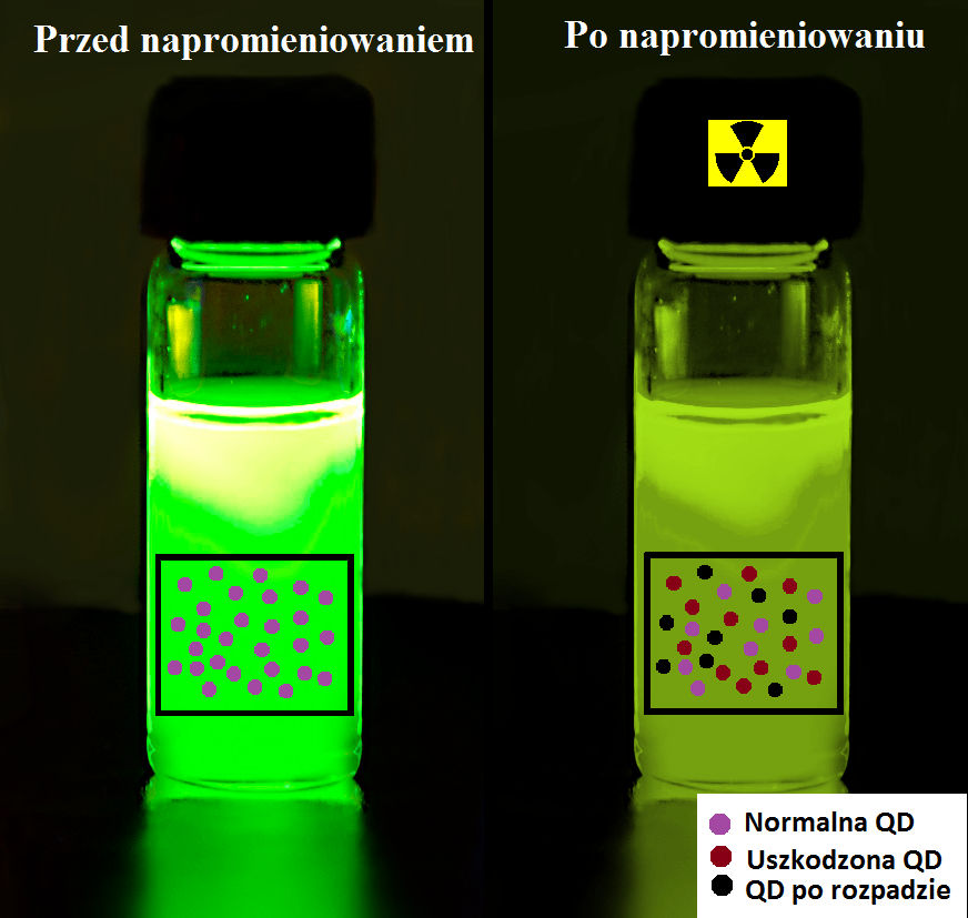 degradacji kropek kwantowych. (Rys.