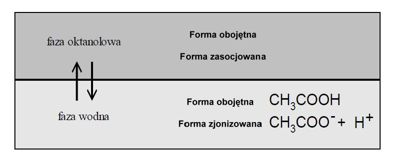 technicznym w wyznaczeniu współczynnika podziału. Jeżeli związek taki w swojej strukturze zawierałby także obszerny fragment hydrofobowy (np.