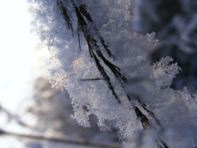 TABELA ZBIORCZA POMIARÓW: GRUDZIEŃ 2010 DATA OPADÓW [ml] KIERUNEK I SIŁA CIŚNIENI E Jaka będzie pogoda w styczniu?? ZACHMURZENIA 01.12-11º b.o. Pł-zach/0,5 1015 Całkowite/mgła 02.12 1018 03.12-2,6º b.