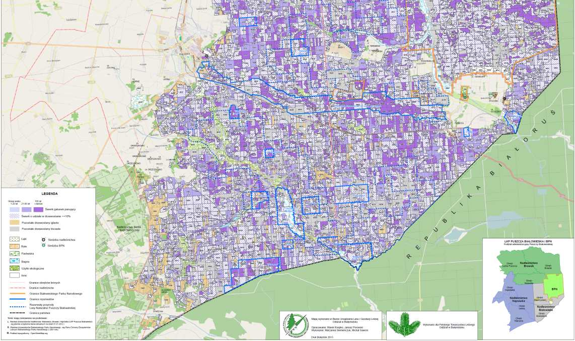 iglastych - sosny Drzewostany z dominacją sosny - początek XX wieku do 50%