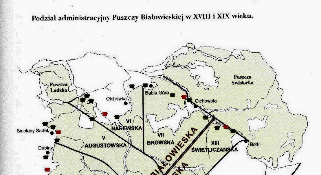 Puszcza Białowieska po upadku Rzeczpospolitej