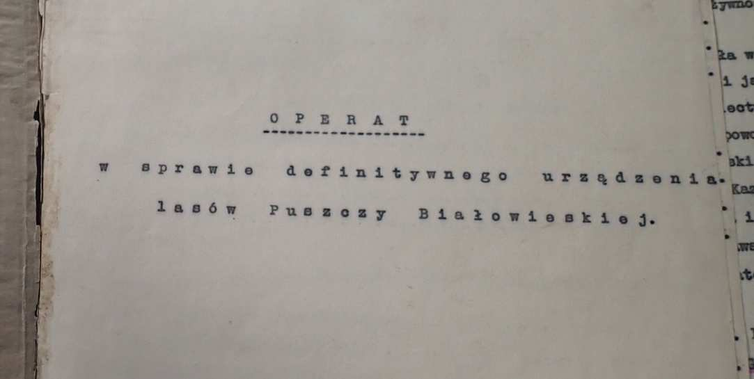 Udział świerka i sosny w drzewostanach PB 1933 r.