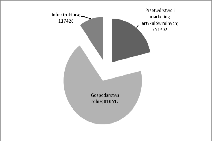 Maria Kierepka podmiotów z branży przetwórczej. Natomiast najmniej, bo tylko 10% przeznaczono na poprawę infrastruktury na obszarach wiejskich (rys. 3). RYSUNEK 3.