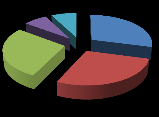 Udział głosów na WZA 7% 8% 29% Janusz Wystemp Waldemar Joński 28% Grzegorz Manelski 28% Pozostali Członkowie Zarządu Pozostali Akcjonariusze 1.