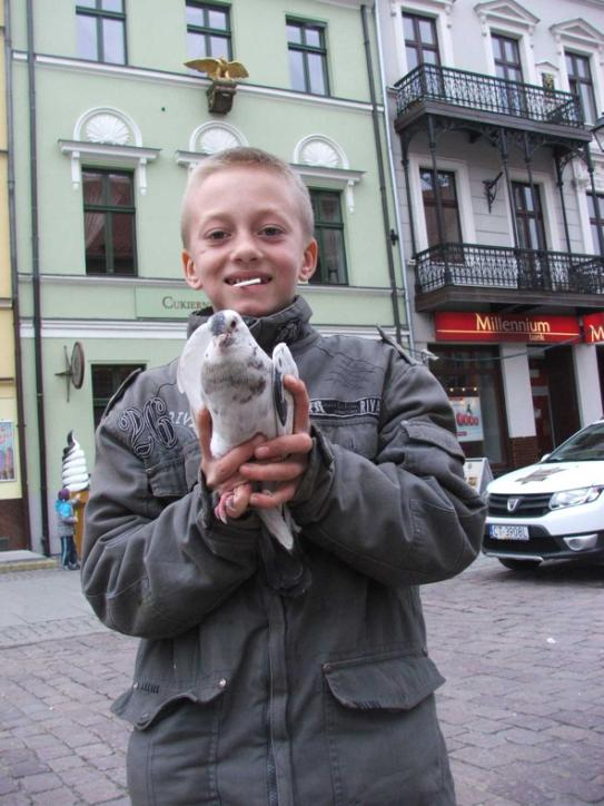 Swoją nazwę zawdzięcza umieszczenia w niej gołębników.