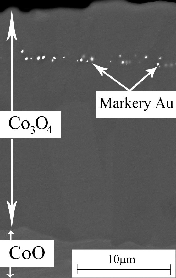 Utlenianie CoO do Co3O4 Co +n + ne + 2 3 4