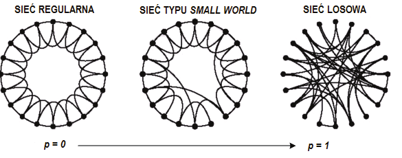 R. Kasprzyk - W asno ci sieci z o onych posiadaj cych cechy Small World i Scale Free Wyra ny wzrost zainteresowania systemami daj cych si modelowa z wykorzystaniem teorii grafów i sieci jest