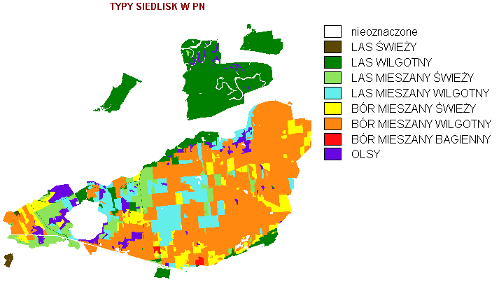 DRZEWOSTANY PUSZCZY NIEPOŁOMICKIEJ (TYPOLOGIA LEŚNA)