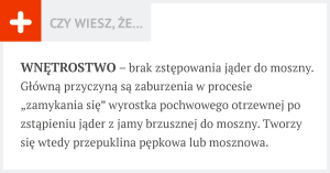 .pl Czym jest wnętrostwo? Jak postępować z takimi osobnikami? Są dwa rozwiązania. Pierwszym jest operacja. Z tego co pamiętam jest to koszt ok. 50 zł. Nie zawsze opłaca się operować przepuklaka.