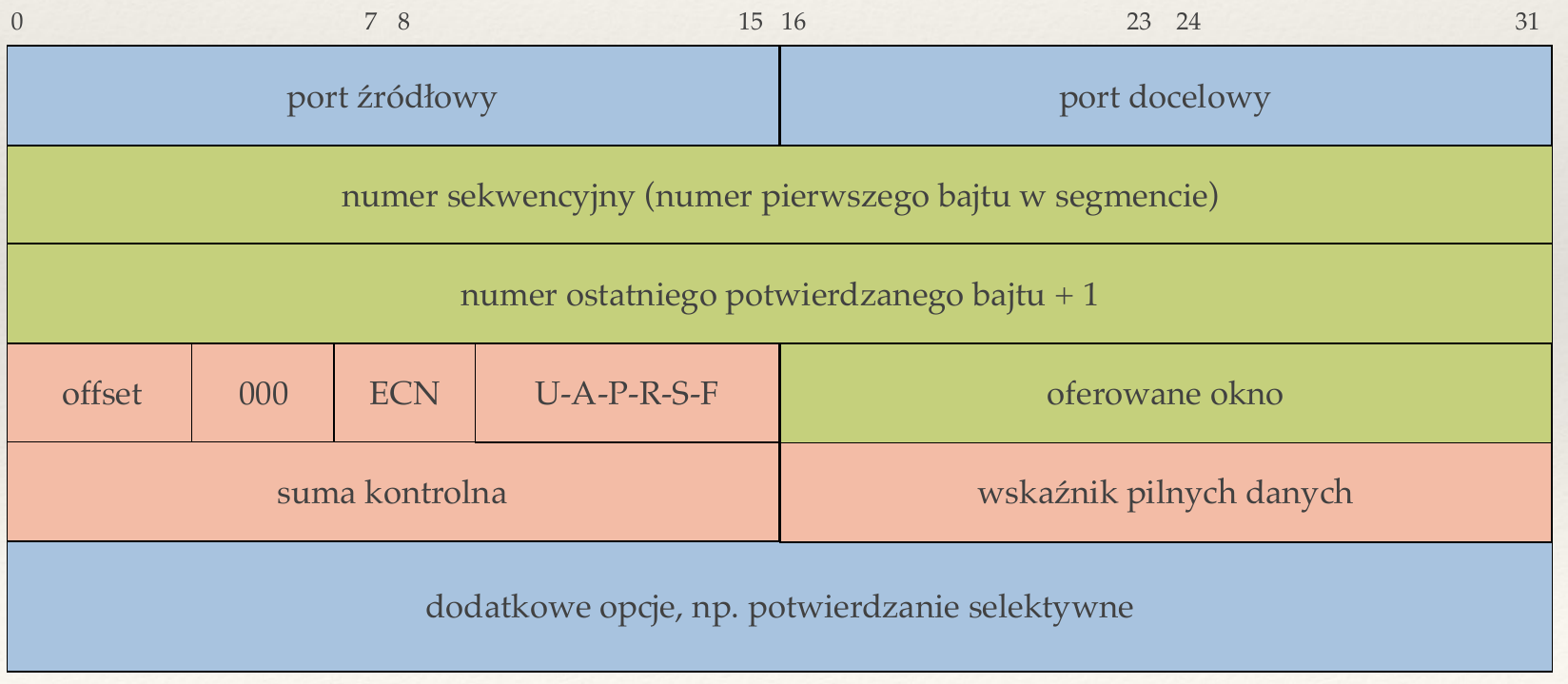 Segment TCP Implementacja TCP Sieci