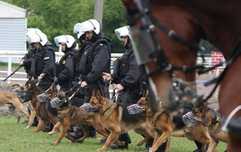 słuchaczy; 1 edycja warsztatów WAPBO 5 słuchaczy; 2 edycje warsztatów WSPP 11 słuchaczy; 11 edycji warsztatów WSPTI 166 słuchaczy 15. 4.