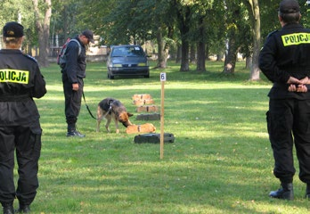 wciąż rangi mistrzostw) 21. 2003 r. 2003 r. to w historii konkursu rok ugruntowania się ostatecznej nazwy, tj. Kynologicznych Mistrzostw Policji. Rywalizowały w nich psy do działań prewencyjnych.