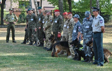 kynologiczne mistrzostwa policji Fot. A. Przybylik Fot. A. Przybylik tj.