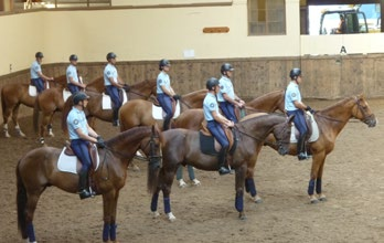 jednostek Policji w zakresie szkolenia psów służbowych DOGSPATROL. Projekt został sfinansowany ze środków Unii Europejskiej w ramach programu Leonardo da Vinci Uczenie się przez całe życie.