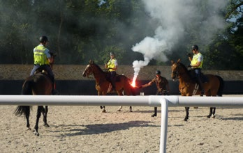 służbowych. W okresie od lutego do maja 2012 r.