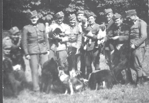 Hodowla z 1946 r., pierwszy miot, Słupsk Pierwszy kurs tresury 10.06 10.11.1946 r., Słupsk pod kierownictwem sanitariusza plut. Mariana Biernata, a szkoła otrzymała pierwszy ambulans weterynaryjny.