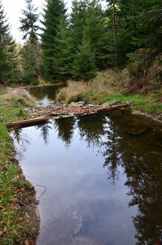 - zabudowa nieużytkowanych szlaków