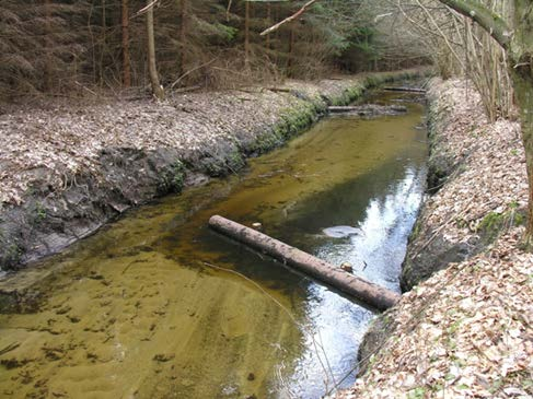 proste metody przywracania meandryzacji cieków